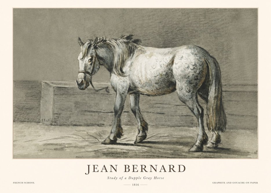 Jean Bernard Study of a Dapple Gray Horse No1 - Plakat