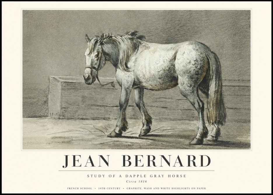 Jean Bernard Study of a Dapple Gray Horse No3 - Plakat