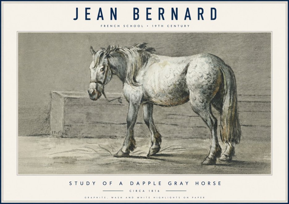 Jean Bernard Study of a Dapple Gray Horse No6 - Plakat