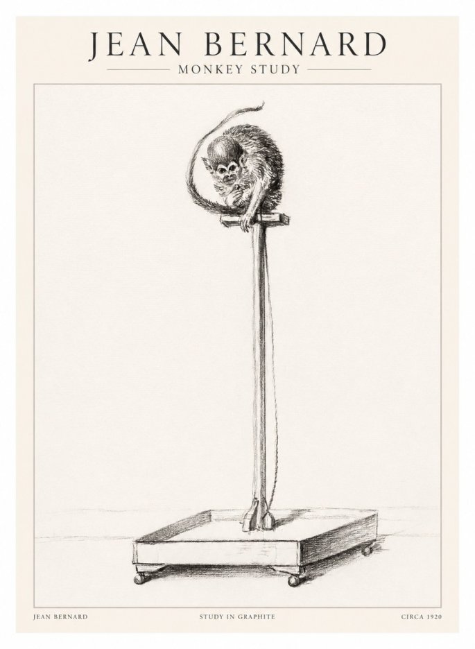 Jean Bernard Monkey Study No1 - Plakat
