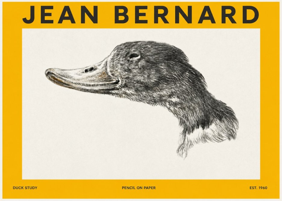 Jean Bernard Study of a Duck No3 - Plakat