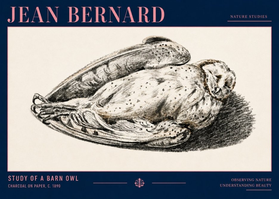 Jean Bernard Sleeping Owl No4 - Plakat