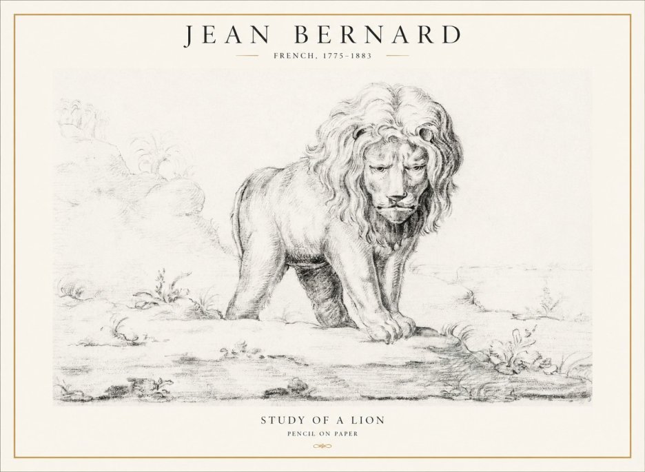 Jean Bernard Study of a Lion I No4 - Plakat