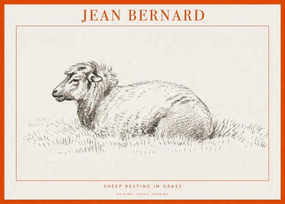 Jean Bernard Sheep Resting in Grass No1 - Plakat