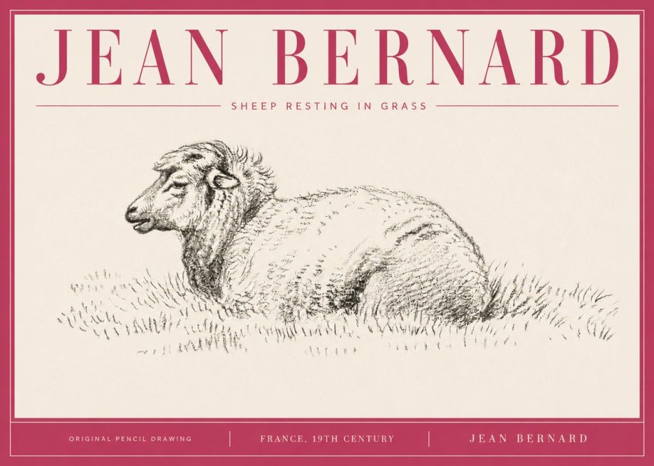 Jean Bernard Sheep Resting in Grass No4 - Plakat