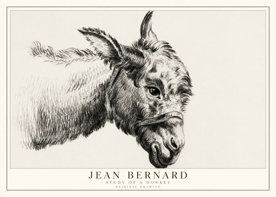 Jean Bernard Study of a Donkey I No1 - Plakat