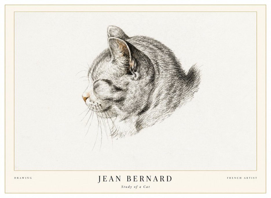 Jean Bernard Study of a Cat I No1 - Plakat