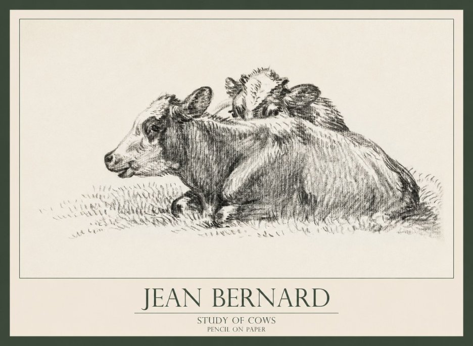 Jean Bernard Study of Cows No1 - Plakat