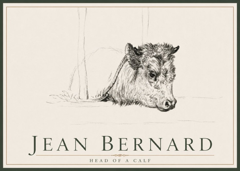 Jean Bernard Study of a Calf I No4 - Plakat
