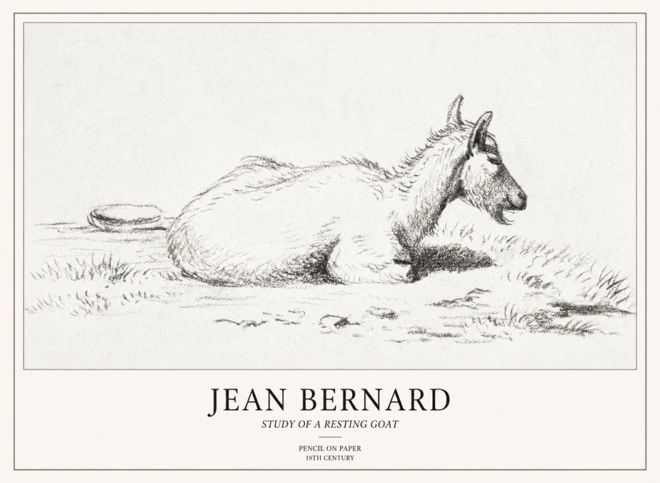 Jean Bernard Study of a Resting Goat No2 - Plakat