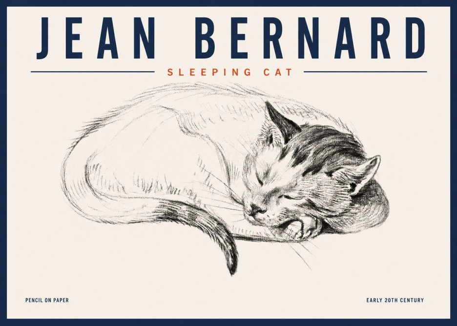 Jean Bernard Sleeping Cat IV No4 - Plakat