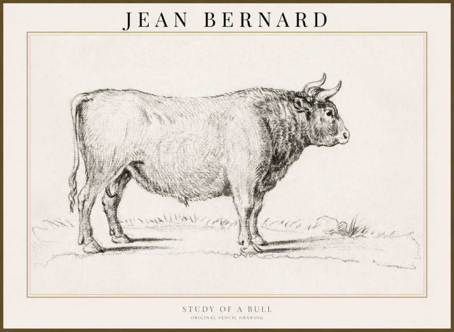 Jean Bernard Study of a Bull I No3 - Plakat