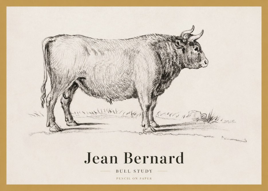 Jean Bernard Study of a Bull I No4 - Plakat