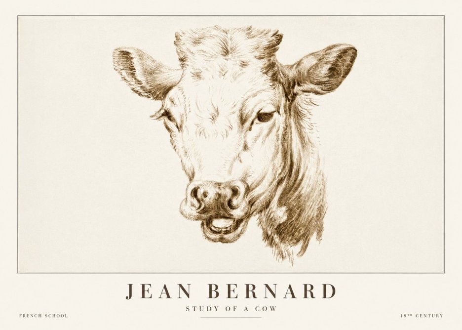 Jean Bernard Study of a Cow IV No2 - Plakat