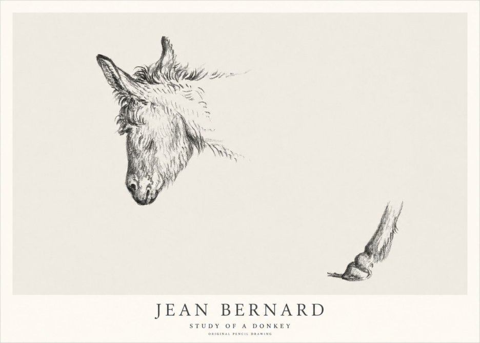 Jean Bernard Study of a Donkey II No1 - Plakat