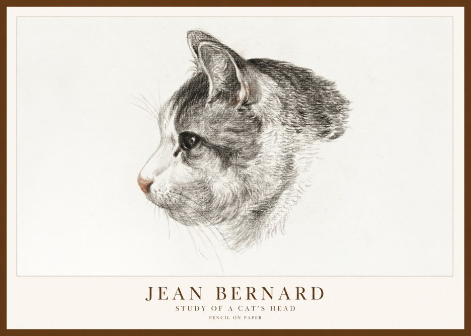 Jean Bernard Cat Study, Profile No2 - Plakat