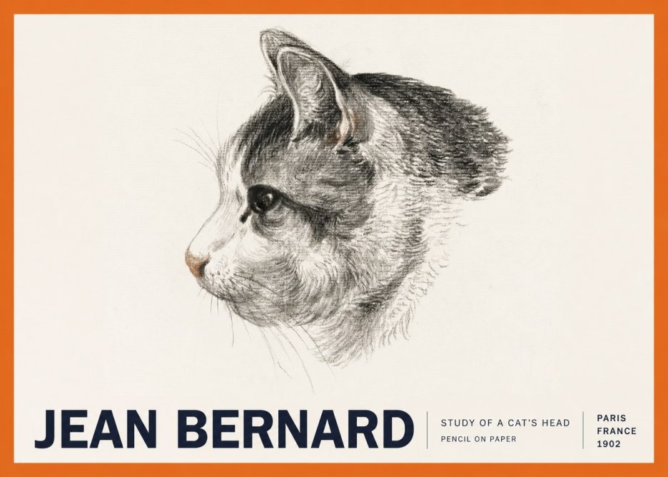 Jean Bernard Cat Study, Profile No6 - Plakat
