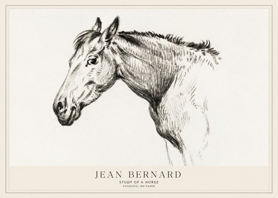 Jean Bernard Study of a Horse VI No1 - Plakat