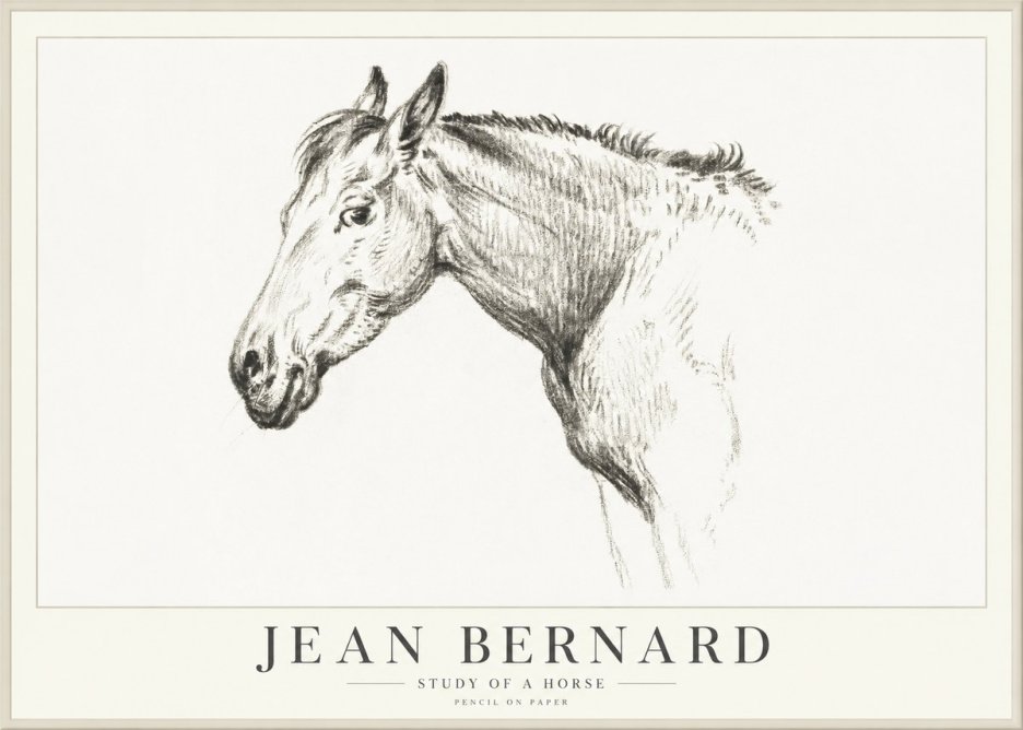 Jean Bernard Study of a Horse VI No4 - Plakat