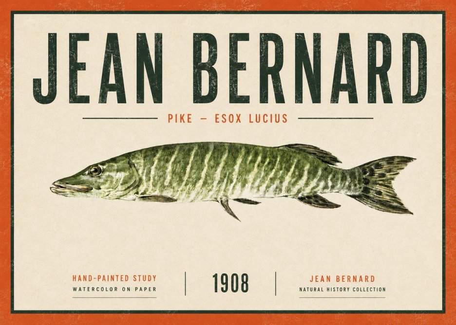 Jean Bernard Northern Pike No6 - Plakat