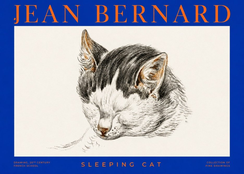 Jean Bernard Sleeping Cat V No2 - Plakat