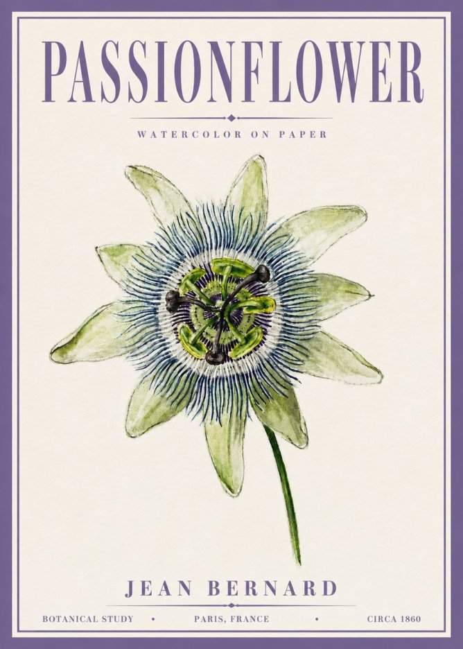 Jean Bernard Passionflower No6 - Plakat