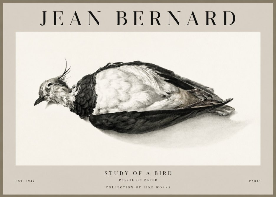 Jean Bernard Study of a Bird II No1 - Plakat