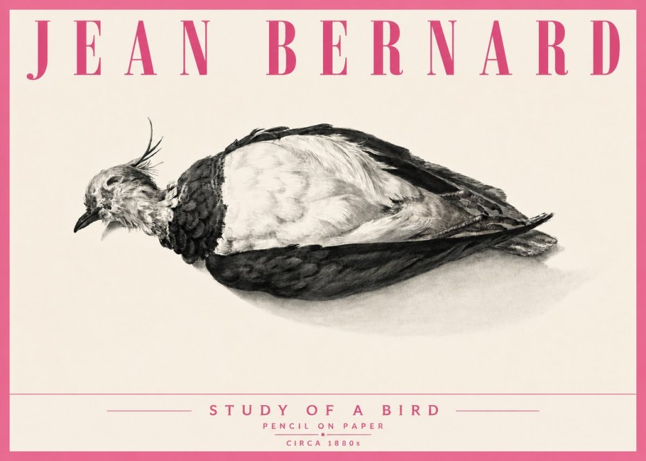 Jean Bernard Study of a Bird II No6 - Plakat