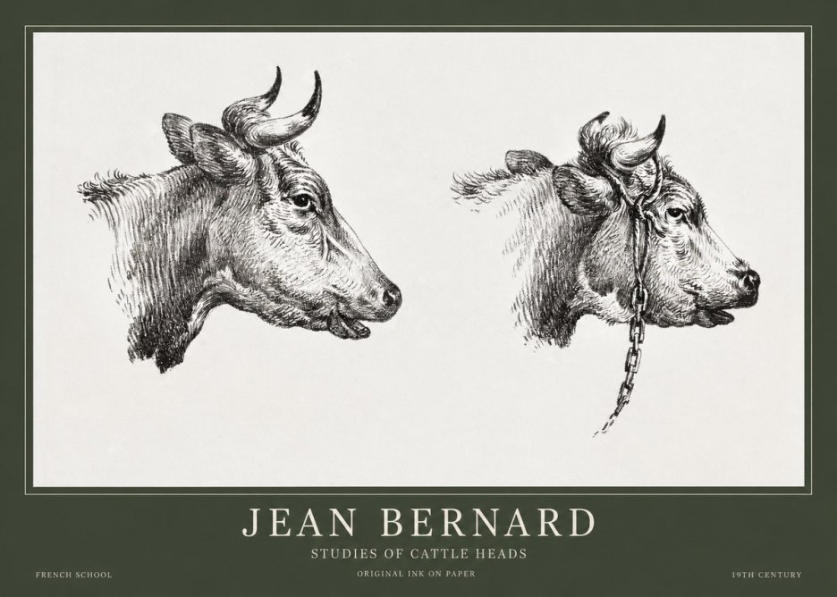 Jean Bernard Studies of Cattle Heads No1 - Plakat