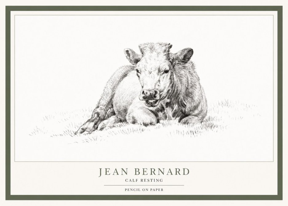 Jean Bernard Calf Resting No1 - Plakat