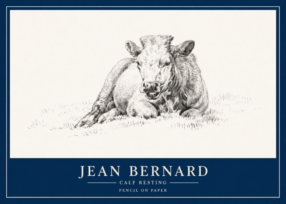 Jean Bernard Calf Resting No3 - Plakat