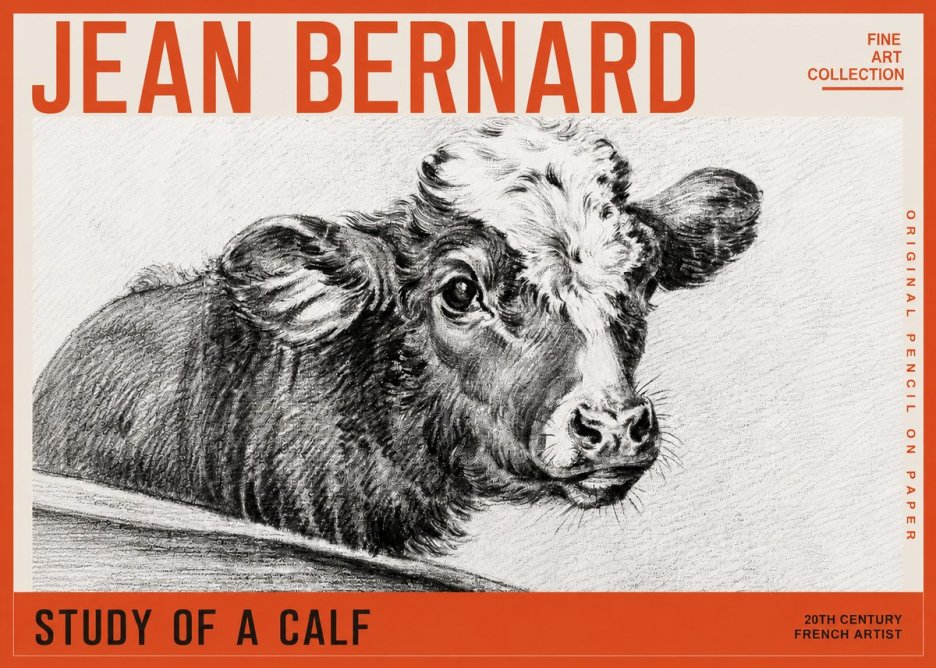 Jean Bernard Study of a Calf II No5 - Plakat