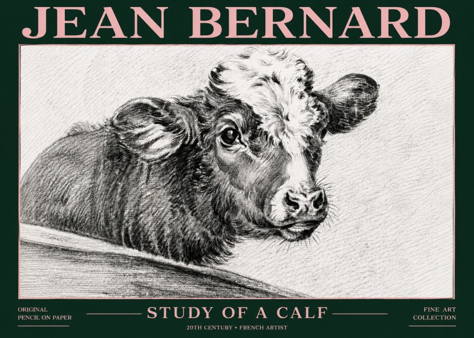 Jean Bernard Study of a Calf II No6 - Plakat