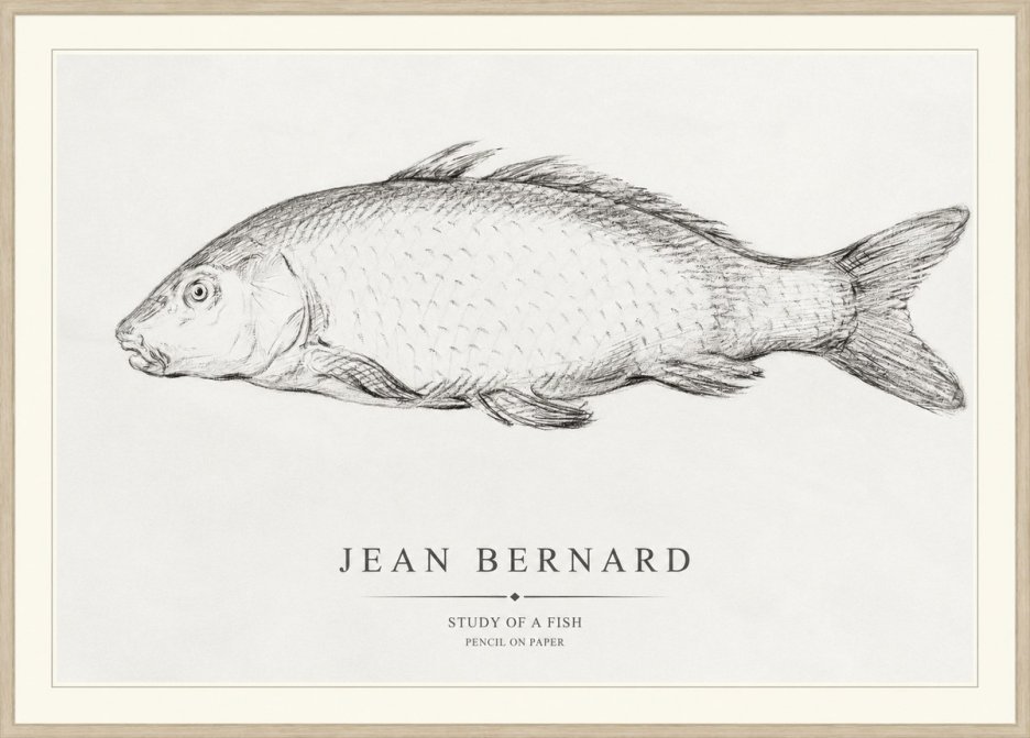 Jean Bernard Study of a Fish III No1 - Plakat