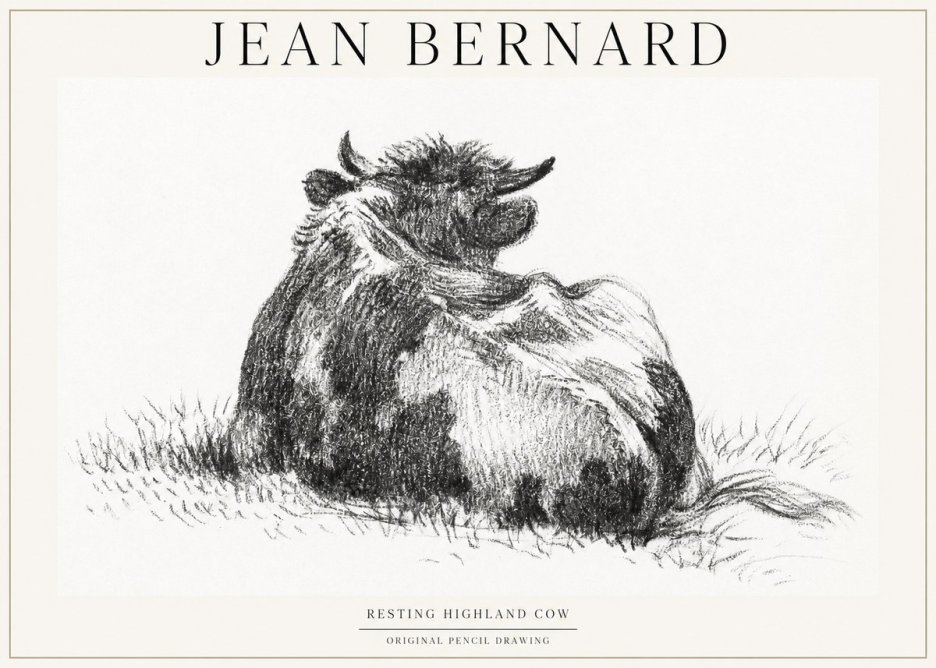 Jean Bernard Resting Highland Cow No1 - Plakat