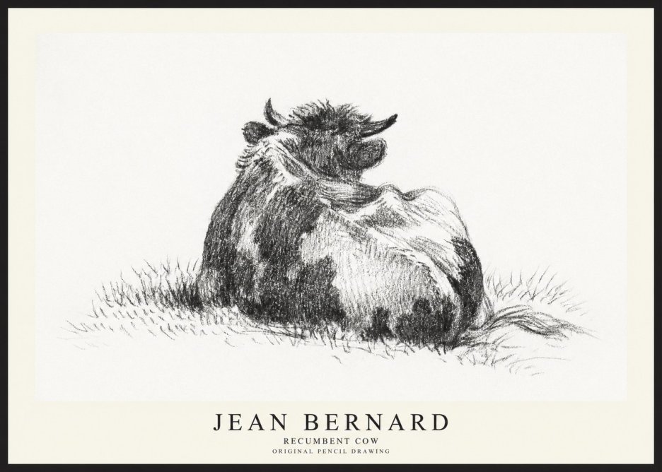 Jean Bernard Resting Highland Cow No3 - Plakat