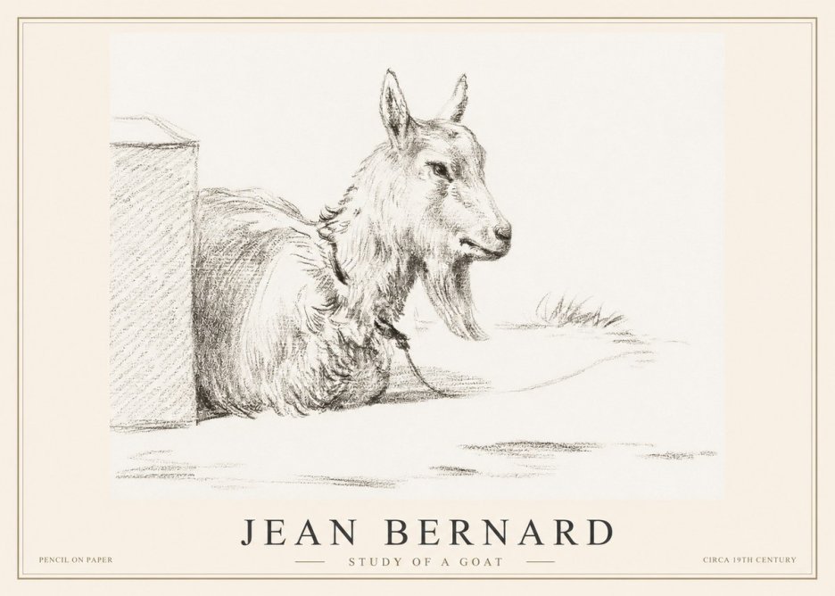 Jean Bernard Study of a Goat IV No2 - Plakat