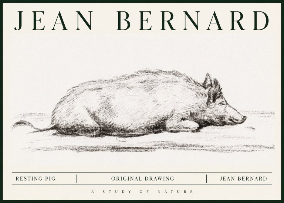 Jean Bernard Resting Pig I No1 - Plakat
