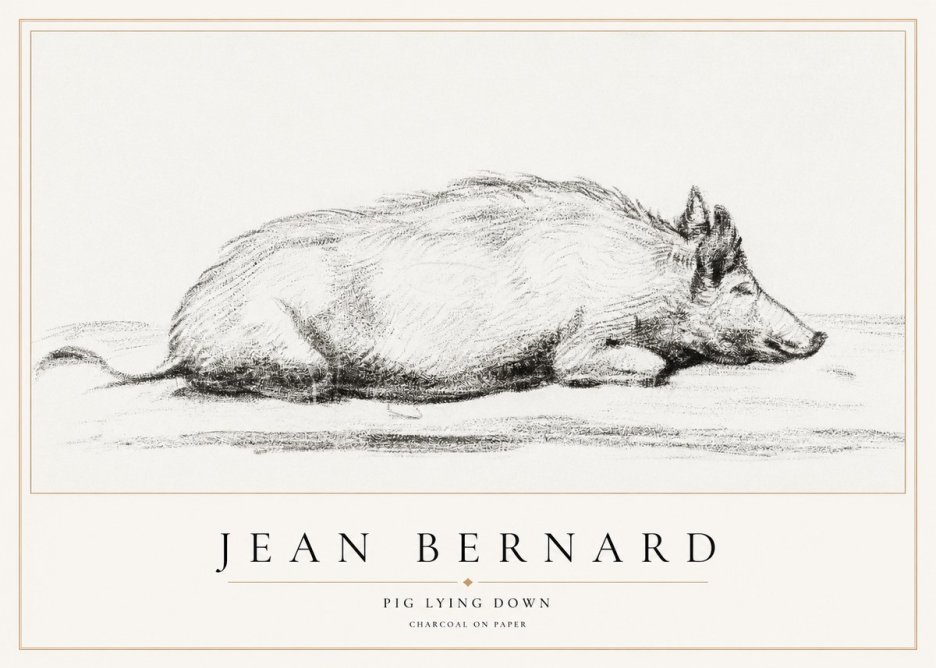Jean Bernard Resting Pig I No2 - Plakat