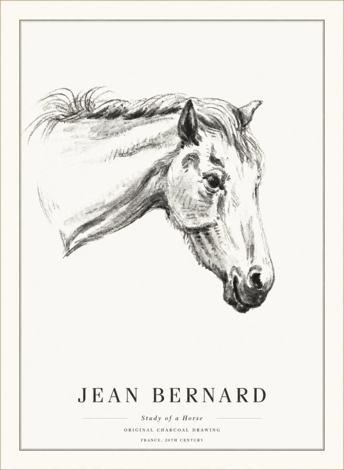 Jean Bernard Study of a Horse VIII No5 - Plakat