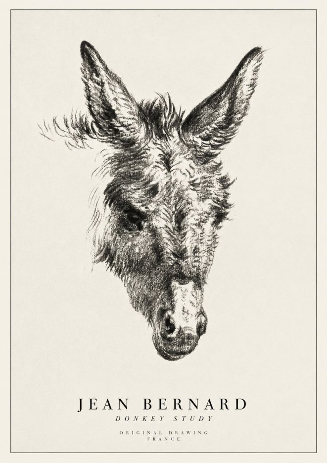 Jean Bernard Donkey Study IV No1 - Plakat