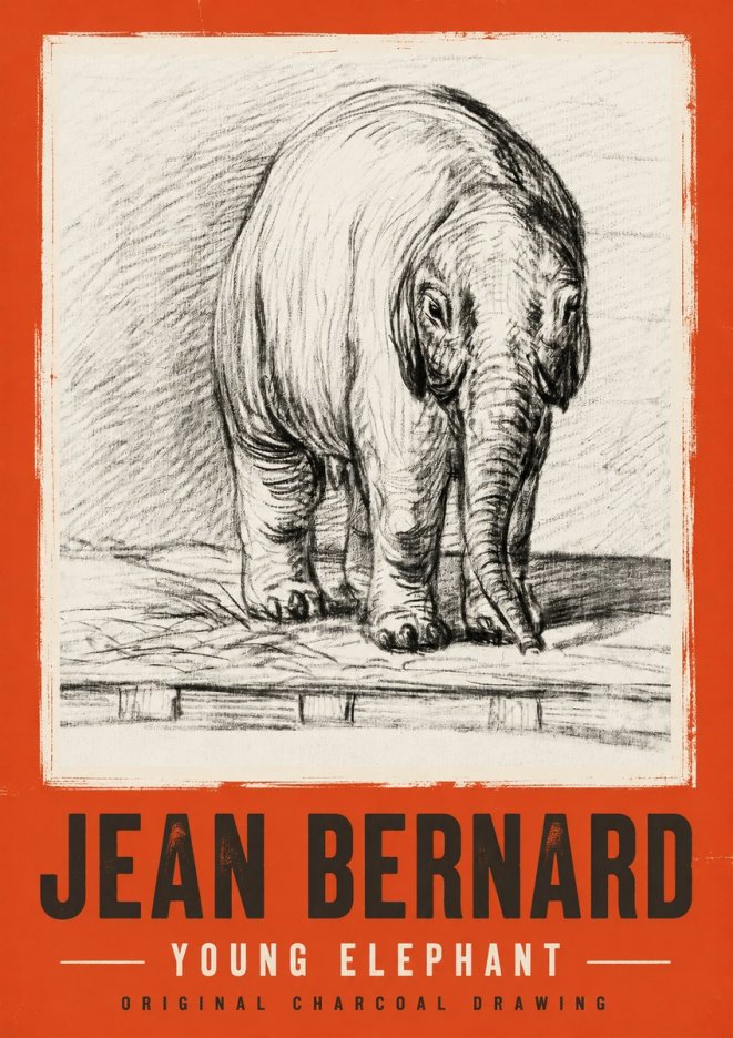 Jean Bernard Young Elephant No2 - Plakat