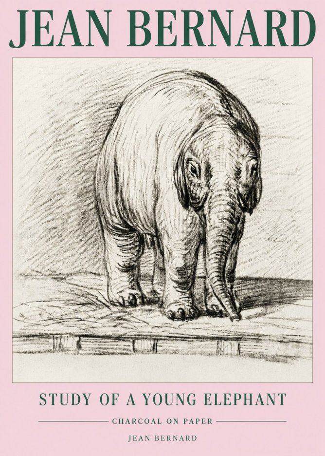 Jean Bernard Young Elephant No5 - Plakat