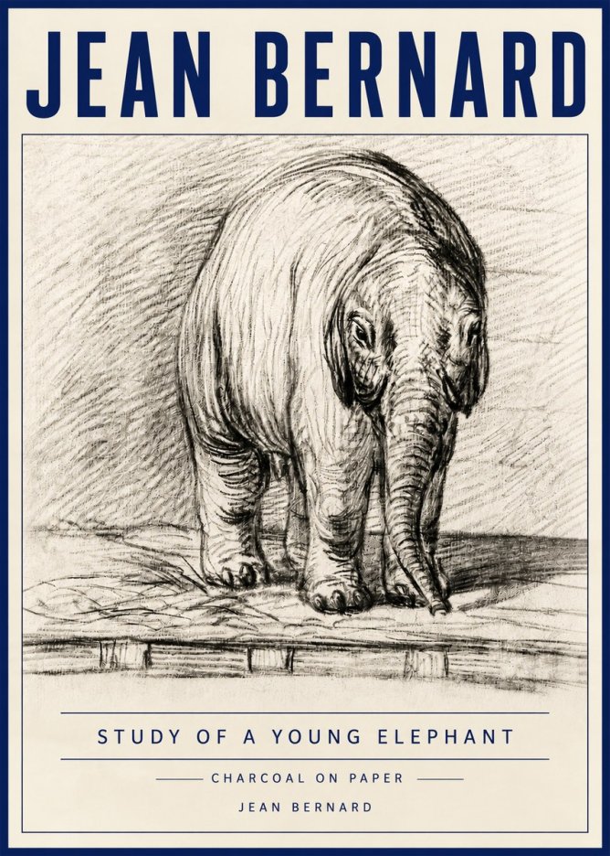 Jean Bernard Young Elephant No6 - Plakat