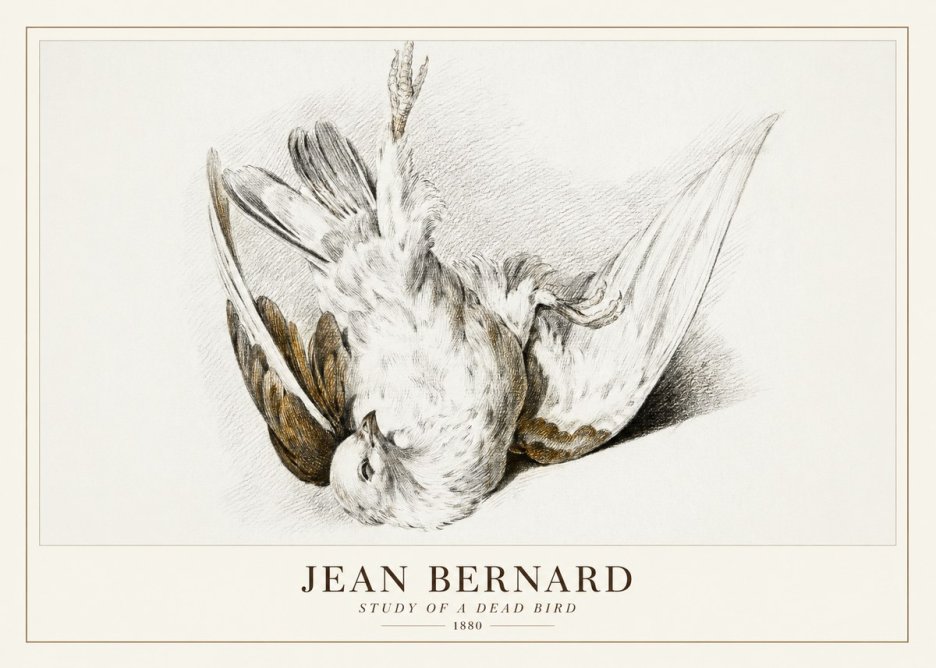 Jean Bernard Study of a Dead Bird No3 - Plakat