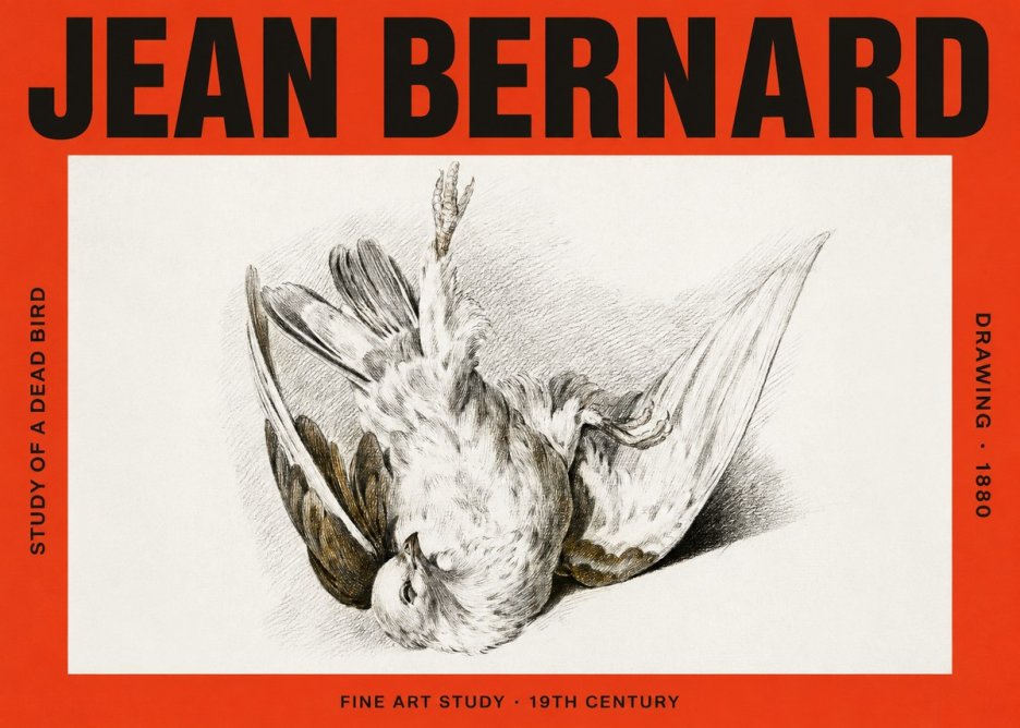 Jean Bernard Study of a Dead Bird No4 - Plakat
