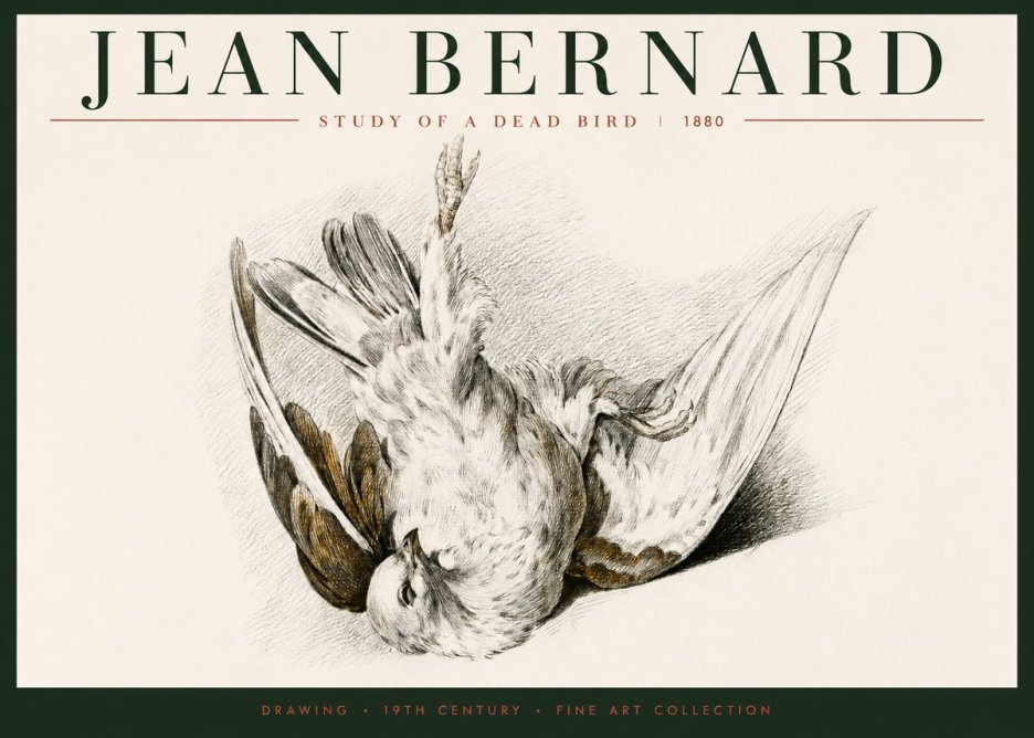 Jean Bernard Study of a Dead Bird No6 - Plakat