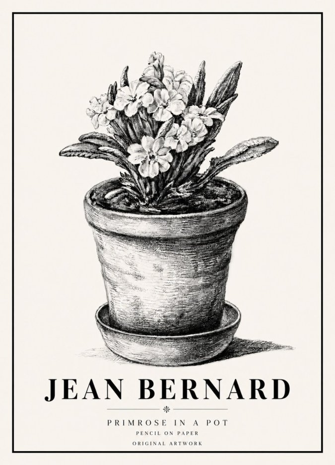 Jean Bernard Potted Primrose No6 - Plakat
