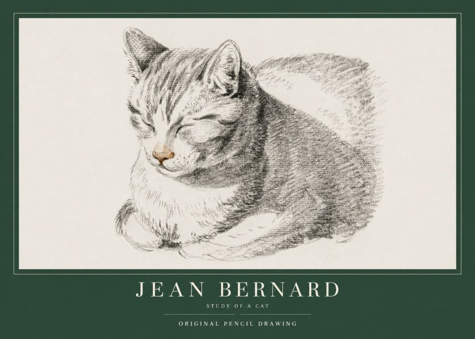 Jean Bernard Sleeping Cat VI No4 - Plakat