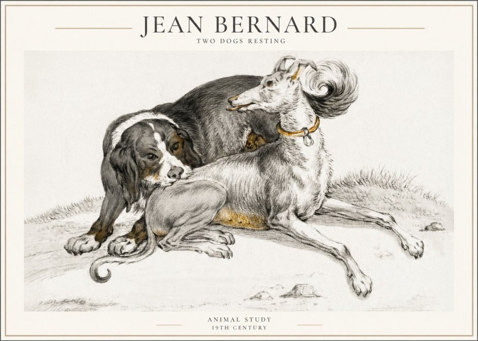 Jean Bernard Two Dogs Resting No4 - Plakat